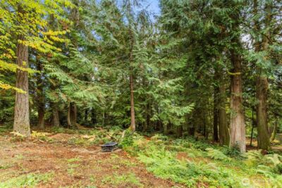 7698 Westerly Lane NE, Bainbridge Island, WA 98110 - Photo 17