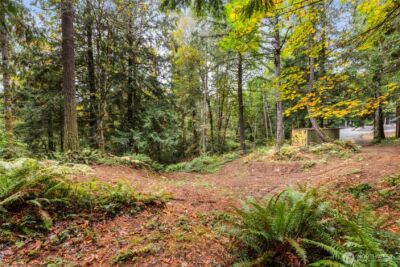 7698 Westerly Lane NE, Bainbridge Island, WA 98110 - Photo 20