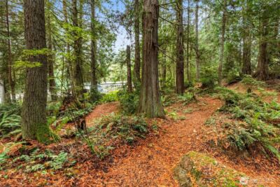 7698 Westerly Lane NE, Bainbridge Island, WA 98110 - Photo 21