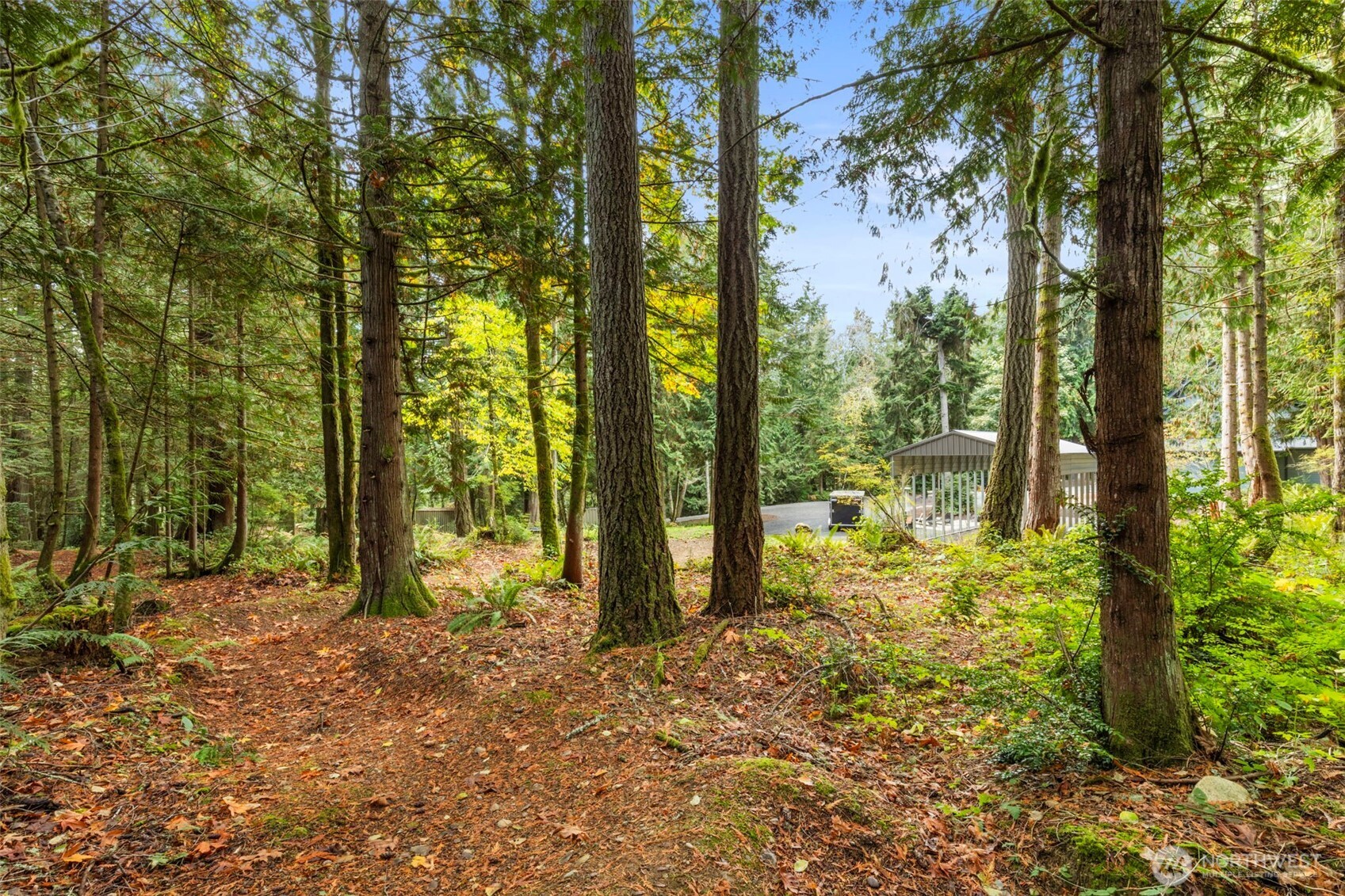 7698 Westerly Lane NE, Bainbridge Island, WA 98110