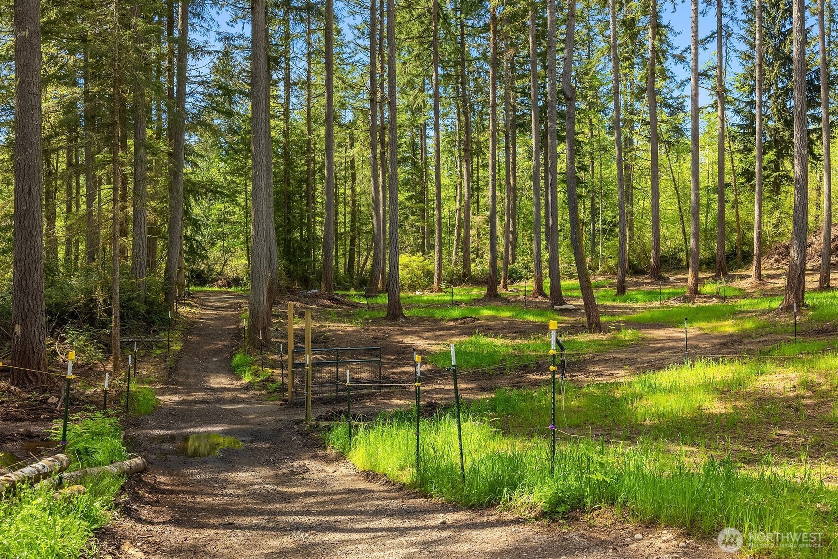 18305 121st Avenue SW, Vashon, WA 98070