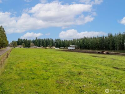 18647 Joselyn Street SW, Rochester, WA 98579 - Photo 35