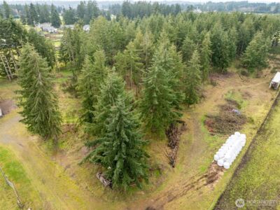 18647 Joselyn Street SW, Rochester, WA 98579 - Photo 37