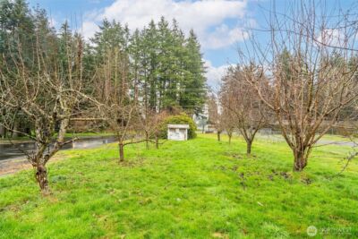 18647 Joselyn Street SW, Rochester, WA 98579 - Photo 7