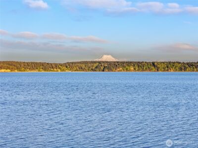 727 E Stretch Island Road S, Grapeview, WA 98546 - Photo 29
