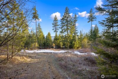 47 Forest Ridge Dr (Lot #47) , Cle Elum, WA 98922 - Photo 5