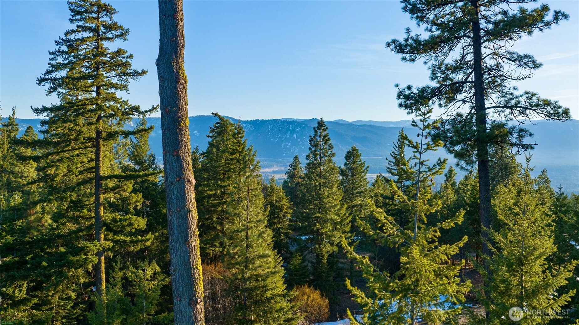 47 Forest Ridge Dr (Lot #47) , Cle Elum, WA 98922
