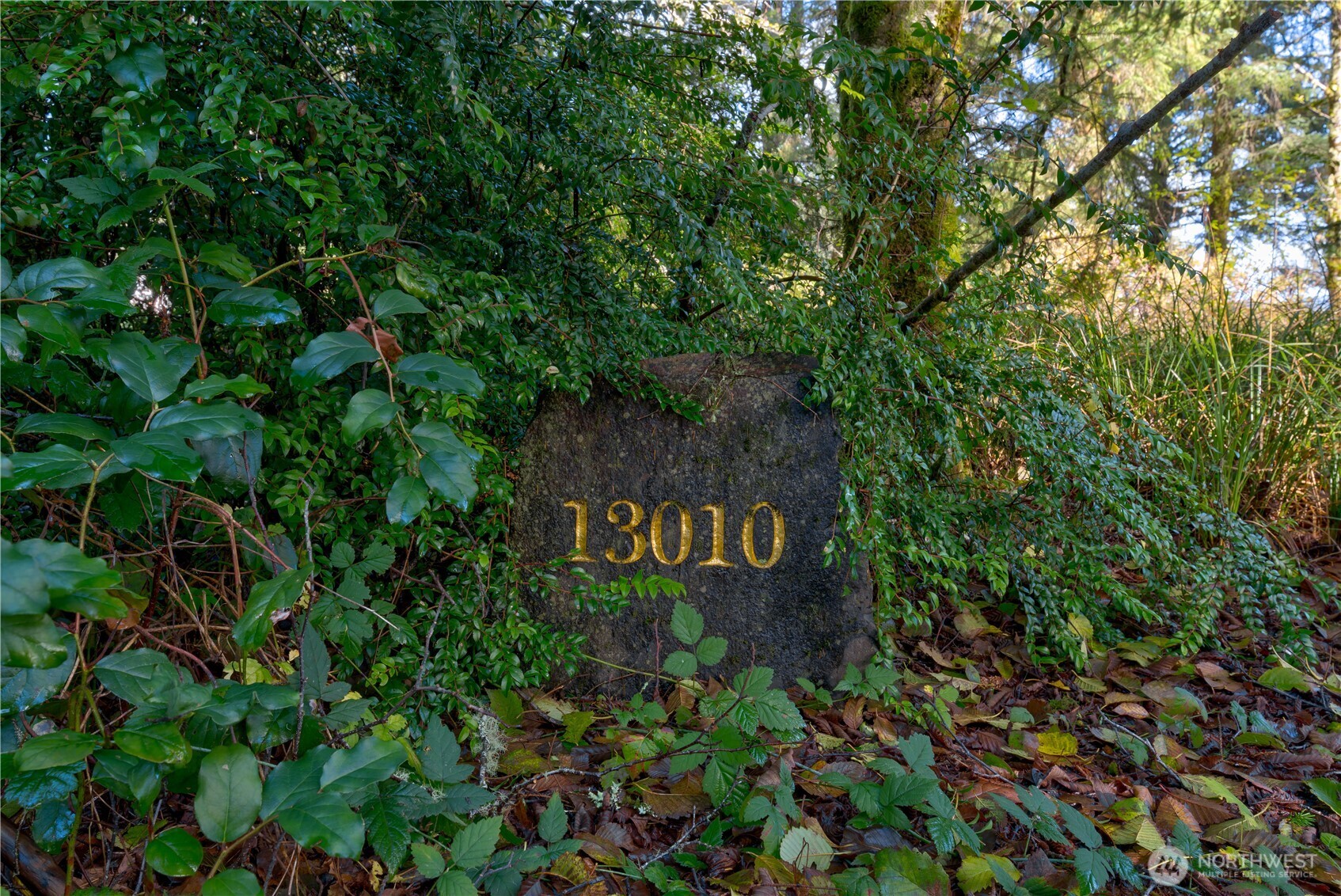 13010 Teal Lane , Long Beach, WA 98631
