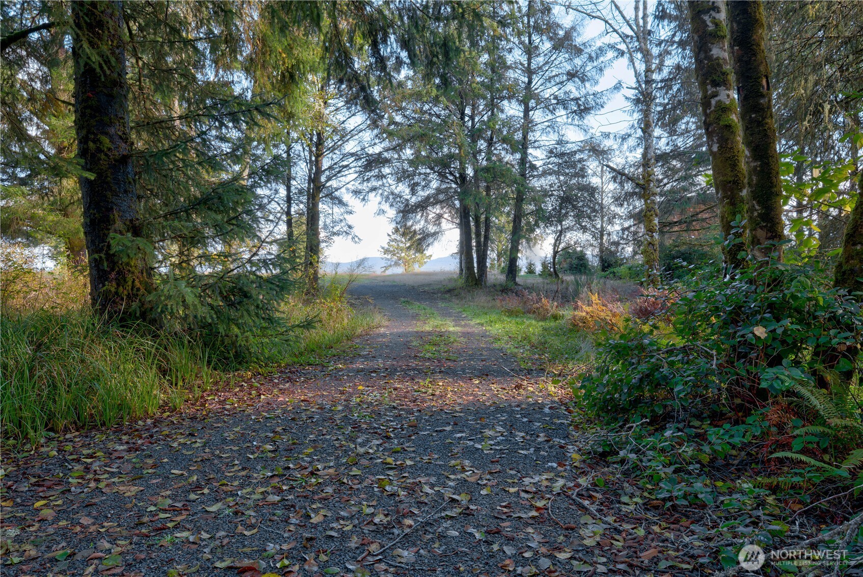 13010 Teal Lane , Long Beach, WA 98631