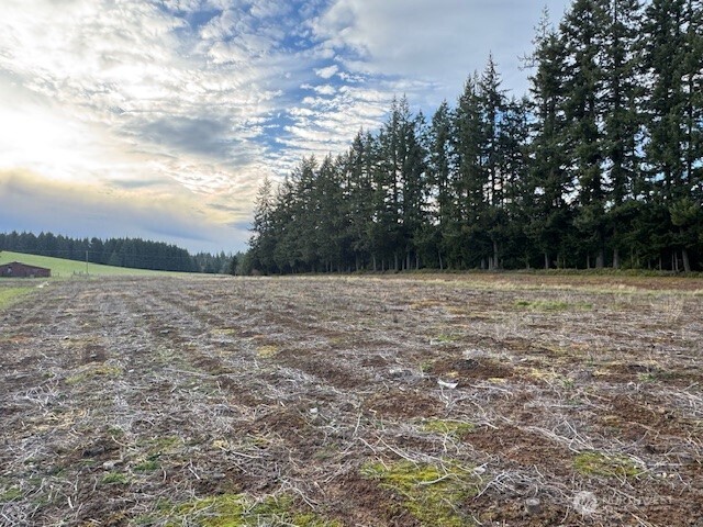 0 LOT 1 Frogner Road , Adna, WA 98532