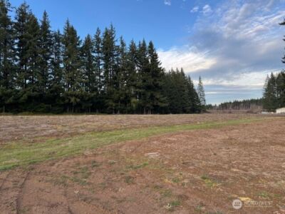 0 LOT 1 Frogner Road , Adna, WA 98532 - Photo 3