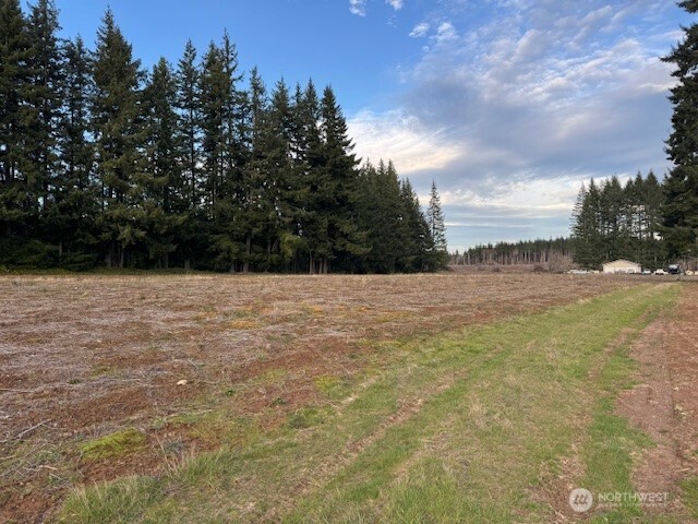 0 LOT 1 Frogner Road , Adna, WA 98532