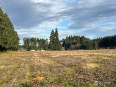 0 LOT 1 Frogner Road , Adna, WA 98532 - Photo 5