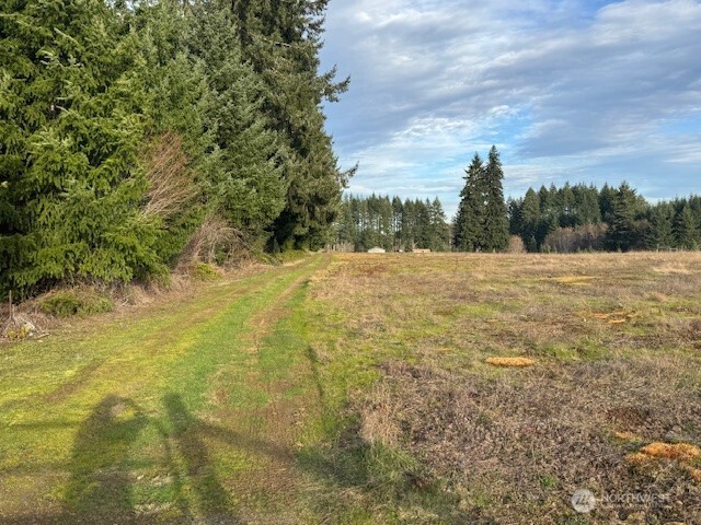 0 LOT 1 Frogner Road , Adna, WA 98532