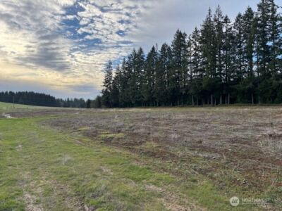 0 LOT 1 Frogner Road , Adna, WA 98532 - Photo 8