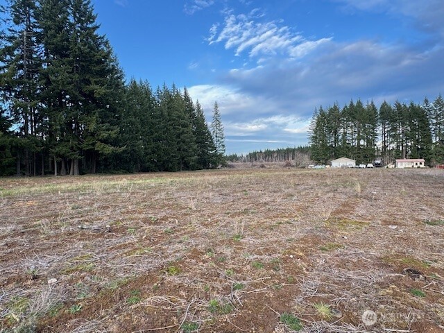 0 LOT 1 Frogner Road , Adna, WA 98532