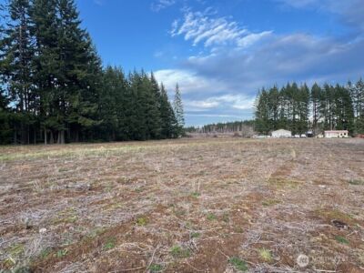 0 LOT 1 Frogner Road , Adna, WA 98532 - Photo 9