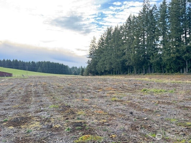 0 LOT 1 Frogner Road , Adna, WA 98532