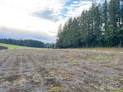 0 LOT 1 Frogner Road , Adna, WA 98532 - Photo 10