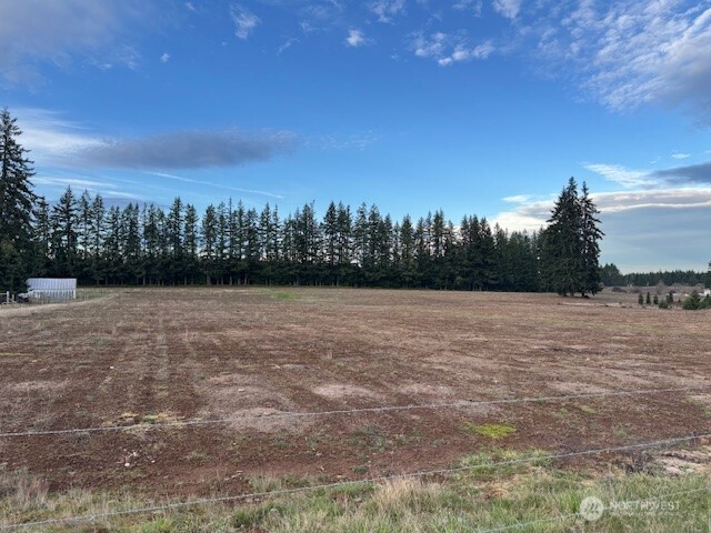 0 Lot 2 Brown Road , Adna, WA 98532