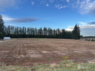 0 Lot 2 Brown Road , Adna, WA 98532 - Photo 1