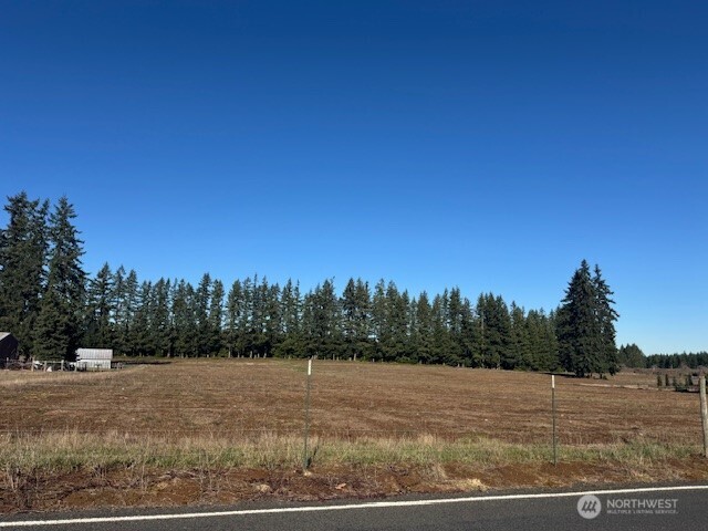 0 Lot 2 Brown Road , Adna, WA 98532