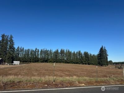 0 Lot 2 Brown Road , Adna, WA 98532 - Photo 2