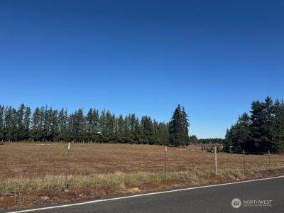 0 Lot 2 Brown Road , Adna, WA 98532 - Photo 3