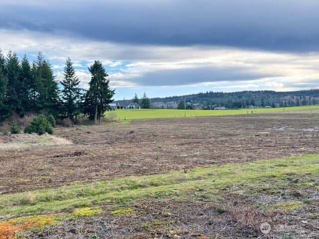 0 Lot 2 Brown Road , Adna, WA 98532