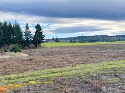 0 Lot 2 Brown Road , Adna, WA 98532 - Photo 4