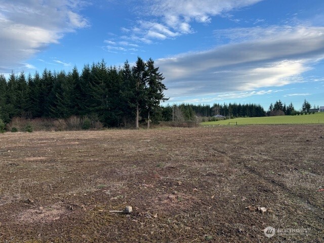 0 Lot 2 Brown Road , Adna, WA 98532