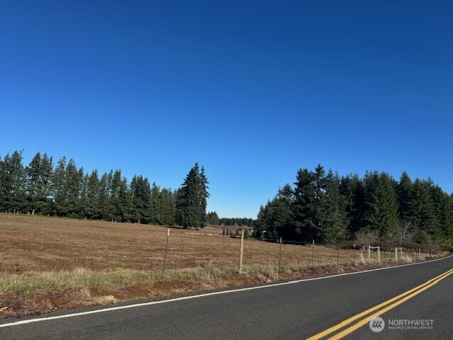 0 Lot 2 Brown Road , Adna, WA 98532