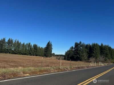 0 Lot 2 Brown Road , Adna, WA 98532 - Photo 6