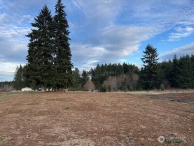 0 Lot 2 Brown Road , Adna, WA 98532 - Photo 7