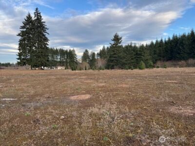 0 Lot 2 Brown Road , Adna, WA 98532 - Photo 8