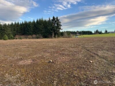 0 Lot 2 Brown Road , Adna, WA 98532 - Photo 9
