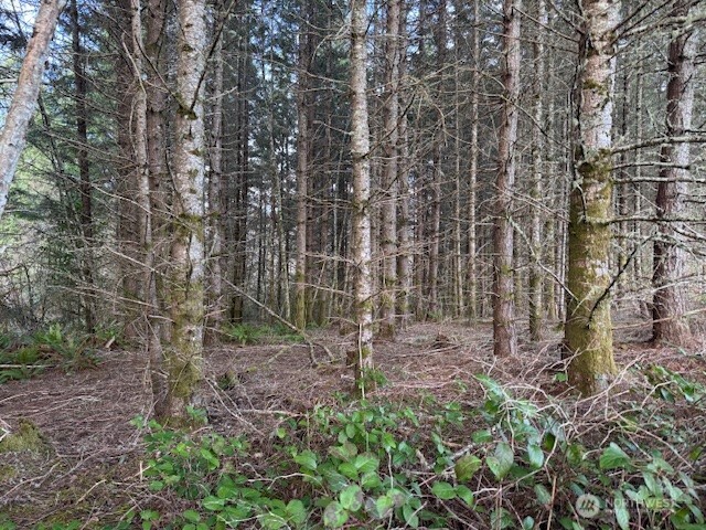3 Lot Brown Road , Adna, WA 98532