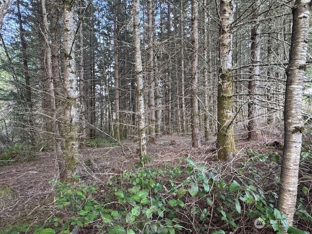 3 Lot Brown Road , Adna, WA 98532