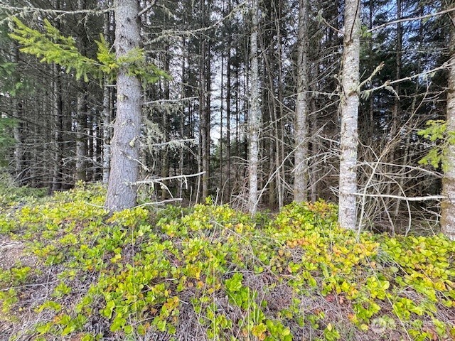 3 Lot Brown Road , Adna, WA 98532