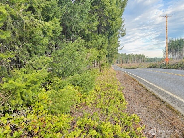 3 Lot Brown Road , Adna, WA 98532