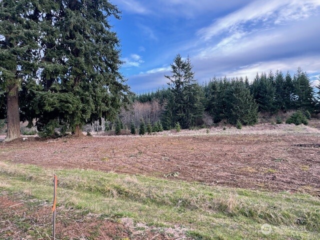3 Lot Brown Road , Adna, WA 98532