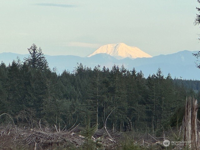 3 Lot Brown Road , Adna, WA 98532