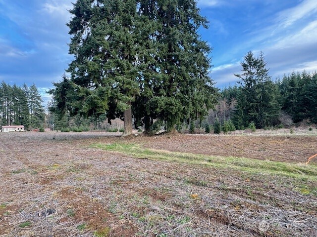 3 Lot Brown Road , Adna, WA 98532
