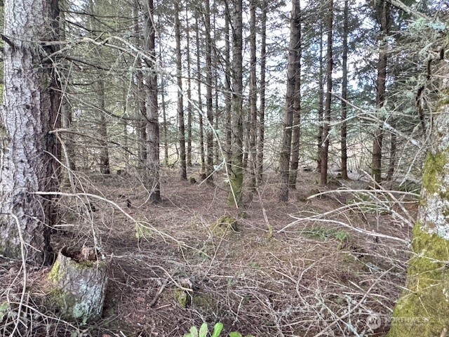 3 Lot Brown Road , Adna, WA 98532
