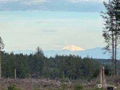 3 Lot Brown Road , Adna, WA 98532 - Photo 8