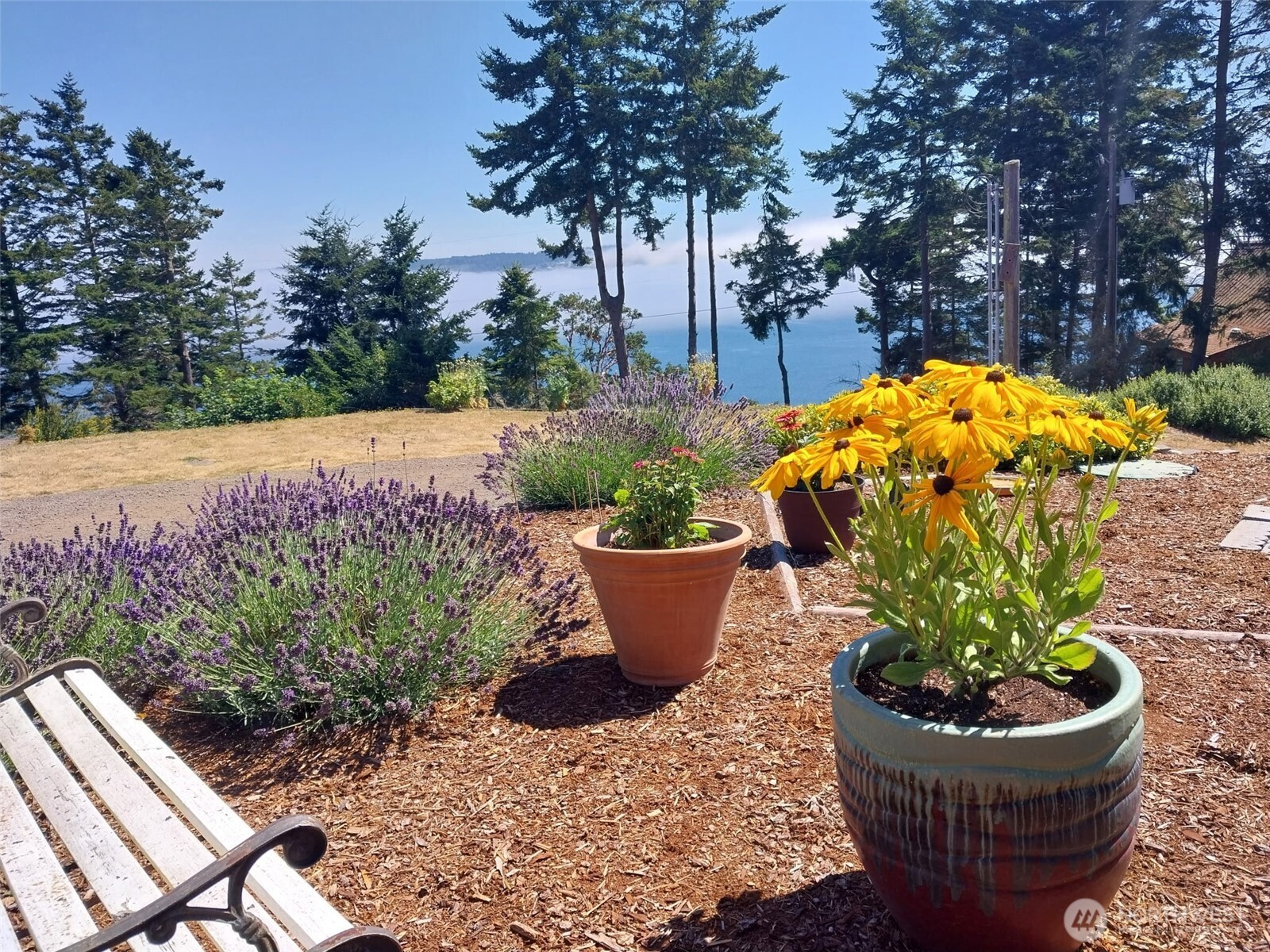 382 Discovery Way , Sequim, WA 98382