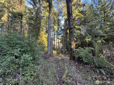 12719 & 12723 96th Street Ct , Anderson Island, WA 98303 - Photo 11