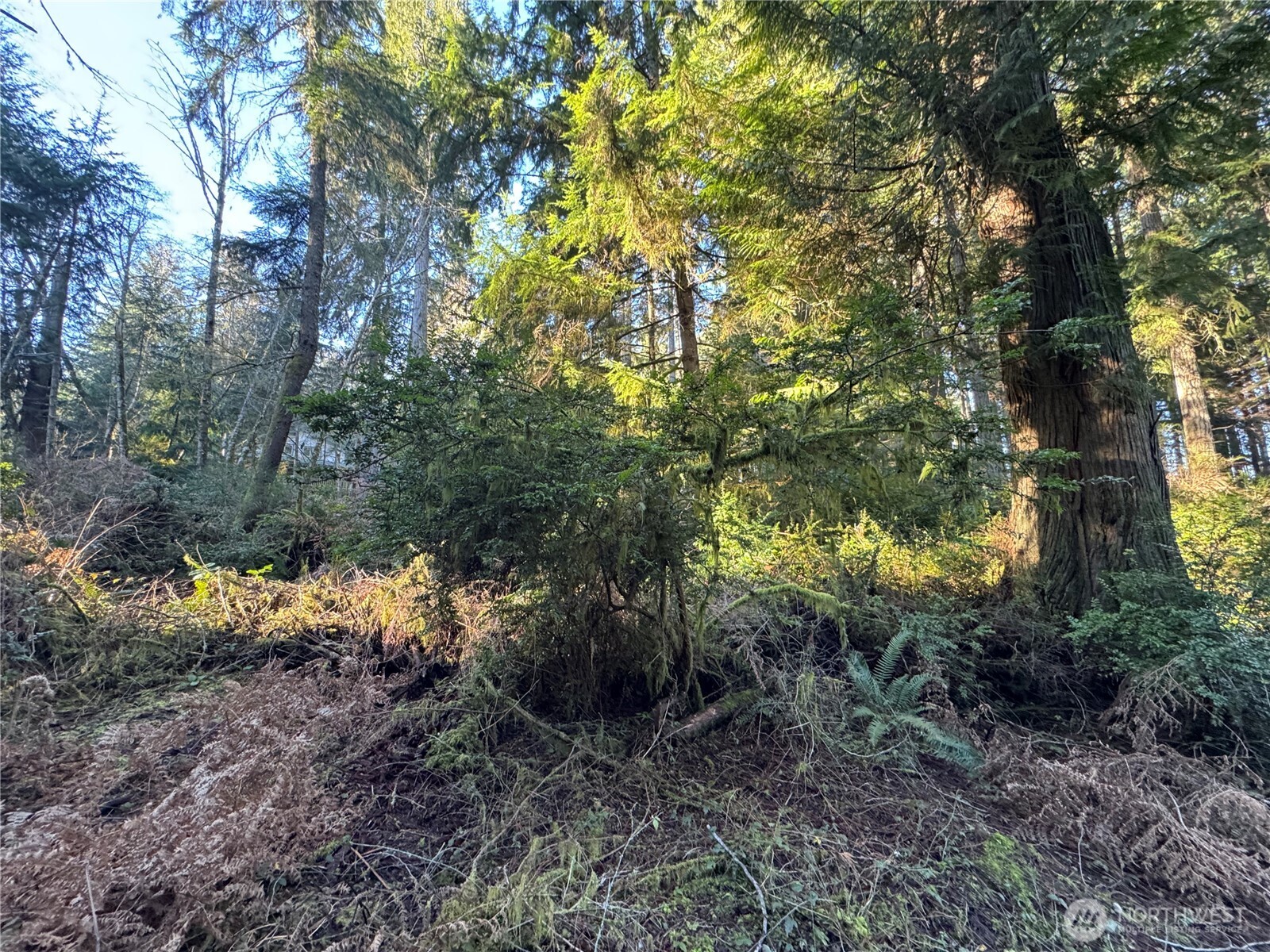 12719 & 12723 96th Street Ct , Anderson Island, WA 98303