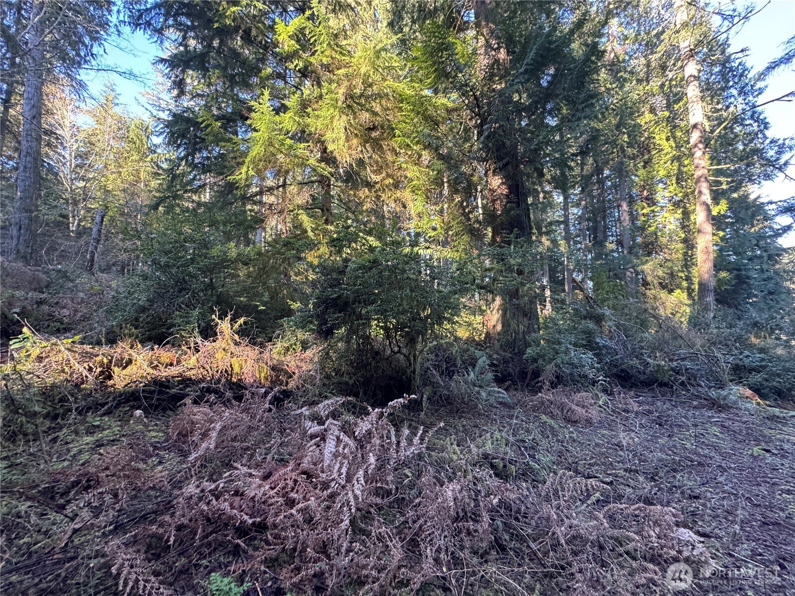 12719 & 12723 96th Street Ct , Anderson Island, WA 98303