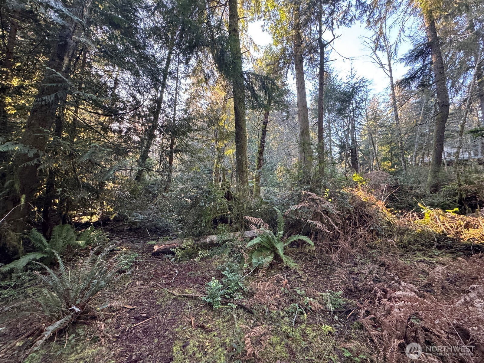 12719 & 12723 96th Street Ct , Anderson Island, WA 98303